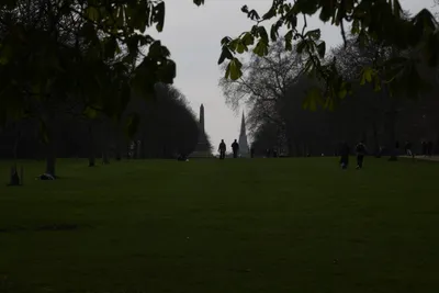 DSC_6914 (Large).JPG